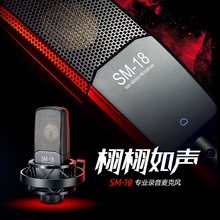 Takstar/得胜 SM-18电容麦克风k歌喊麦直播设备专业录音话筒