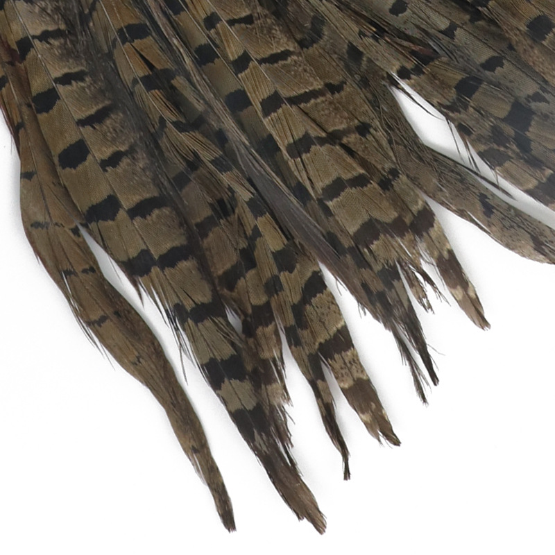 山鸡羽毛60-65自然色diy艺尾毛野鸡毛长羽毛演出翎子插花