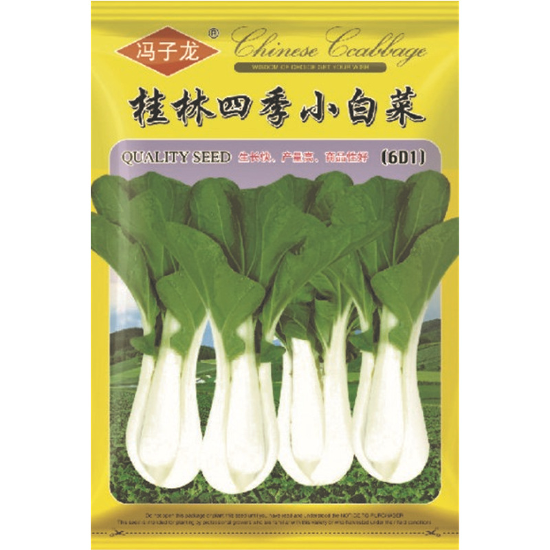 桂林四季小白菜 蔬菜种子厂家冯子龙直售批零大田基地大棚四季种