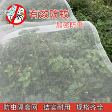 尼龙纱窗布防尘防蚊防虫家用加密纱网结实耐用防虫网加厚尼龙网布