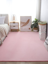 夏天家用地毯女生卧室ins风满铺床边毯儿童房间装饰地垫可睡可坐