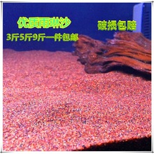 鱼缸底沙砂热带雨林行圆粒鼠南美缸石榴红色造景一件代发独立站