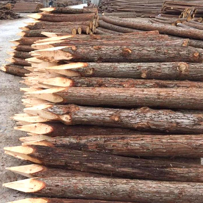 松木桩 打桩木 防汛木桩木桩湿地松 松桩 松柱 河道木桩松木