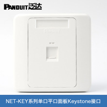 panduit泛达信息面板NKFPL86F2SAW单双四口电话语音1/4孔网络面板