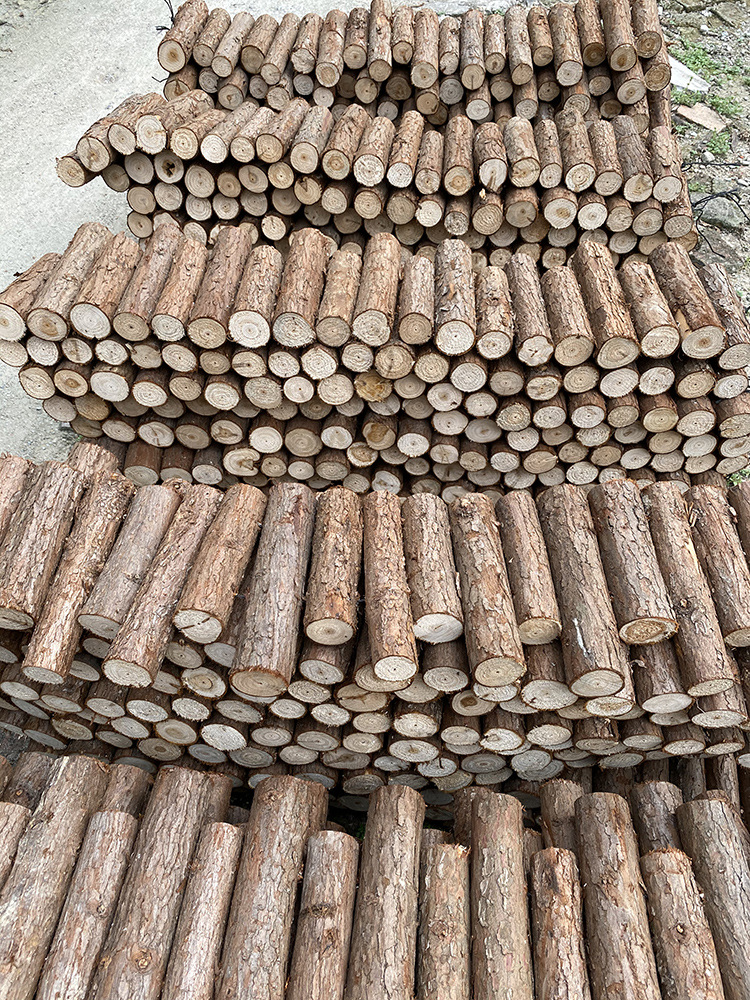 实木树桩 圆木篱笆木桩 原木隔栏 杉树桩 木段 婚礼摆件小木墩子