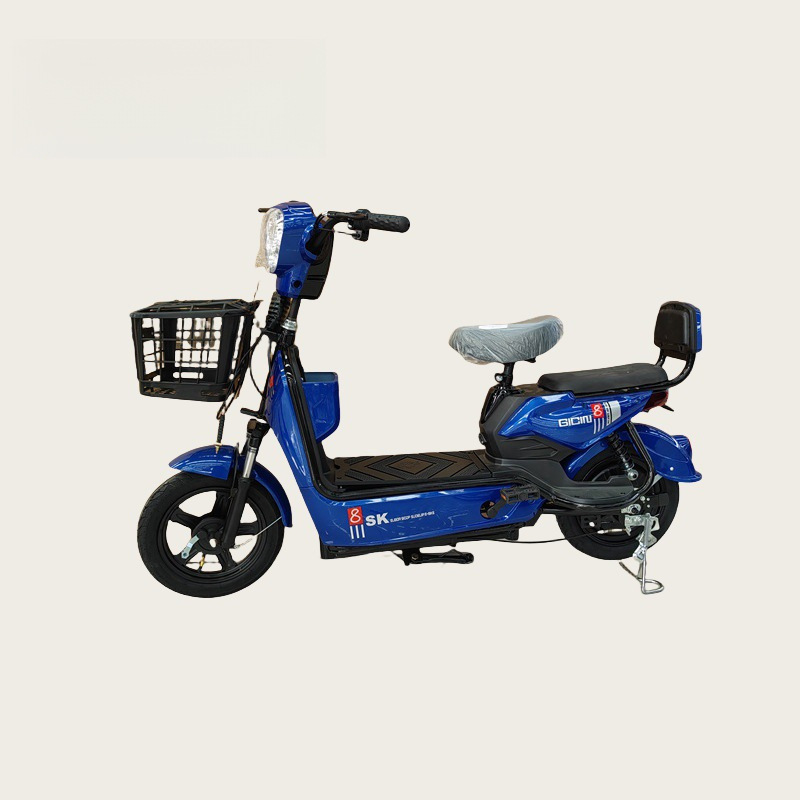 跨境新国标电动车成人家用代步两轮电瓶车礼品活动电动自行车