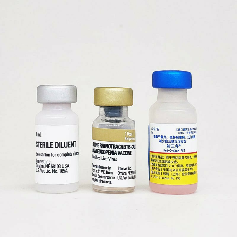 现货猫三联版本荷兰妙三多狗狗猫咪默沙东