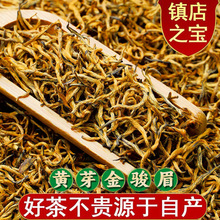 2024年正宗高山手工茶叶黄芽金骏眉红茶蜜香型养胃嫩芽金骏眉批发