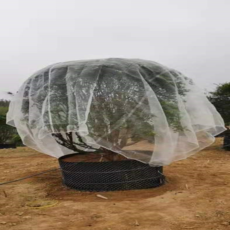 樱桃树 樱桃苗防鸟网 果园防鸟网赶鸟神器防鸟防虫嘉宝果树防虫网