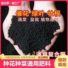 氮磷钾三元复合肥蔬菜农用种菜通用型化肥盆栽花卉土壤营养发酵