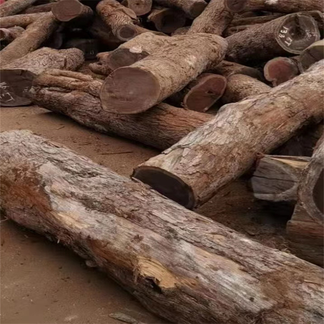 现货供应【高棉】原木板材方料安哥拉紫檀非洲花梨木红高棉家具料