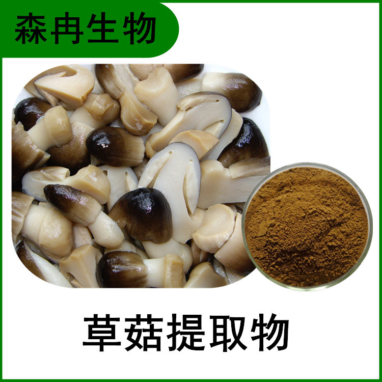 草菇提取物 稻草菇浓缩粉 草菇多糖 比例提取 植物提取原料粉
