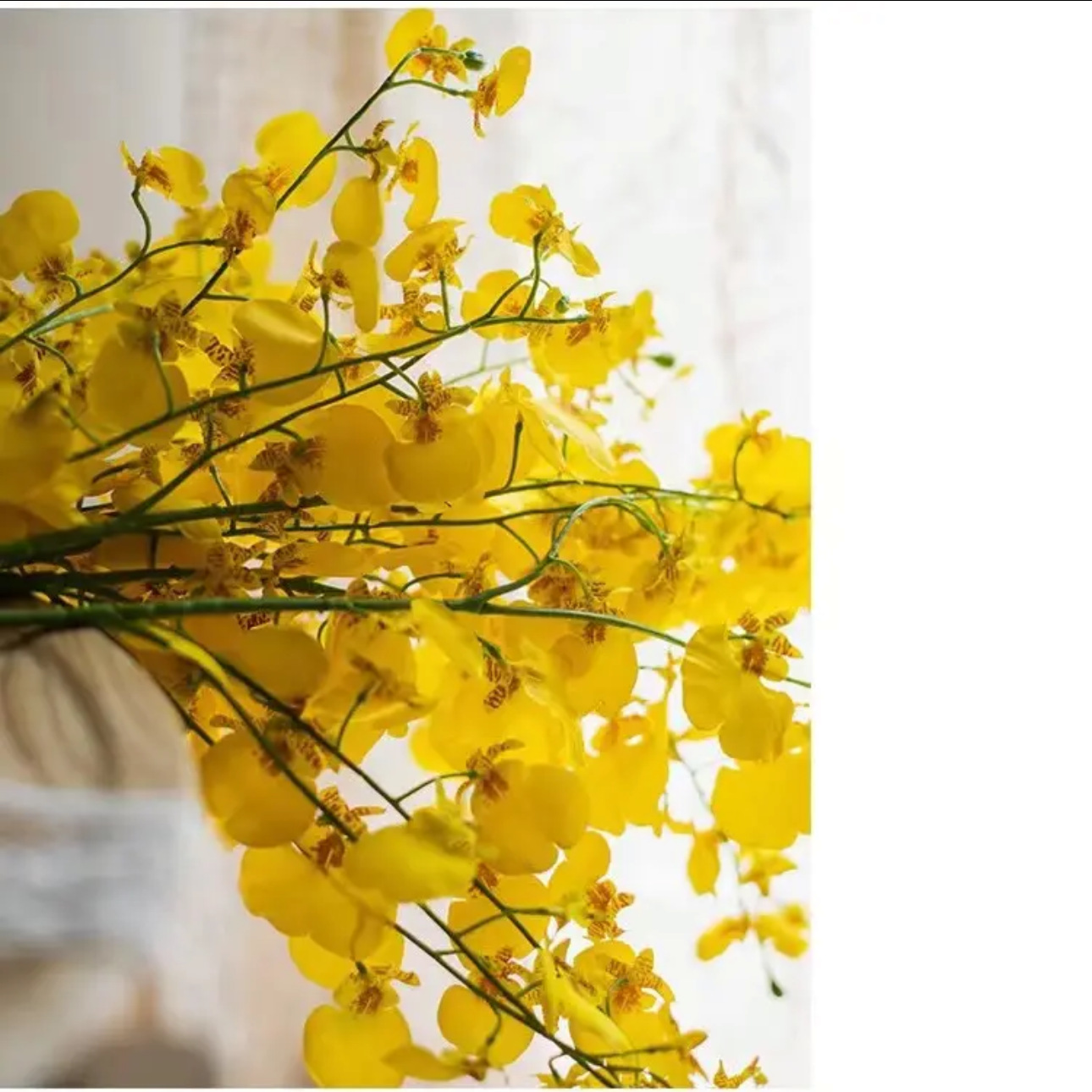 胶片蝴蝶兰3d打印跳舞兰家居装饰婚庆软装仿真花假花油菜花-阿里巴巴