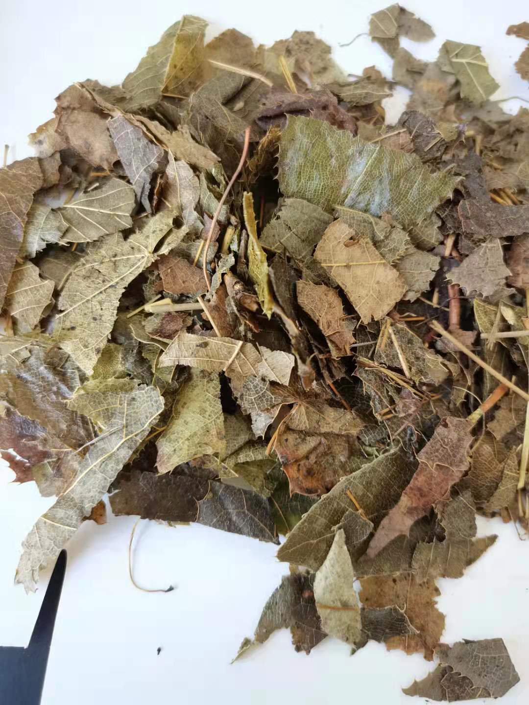 【羊油炙淫羊藿】炙淫羊藿【祥泰药材】中药材批发供应 规格齐全