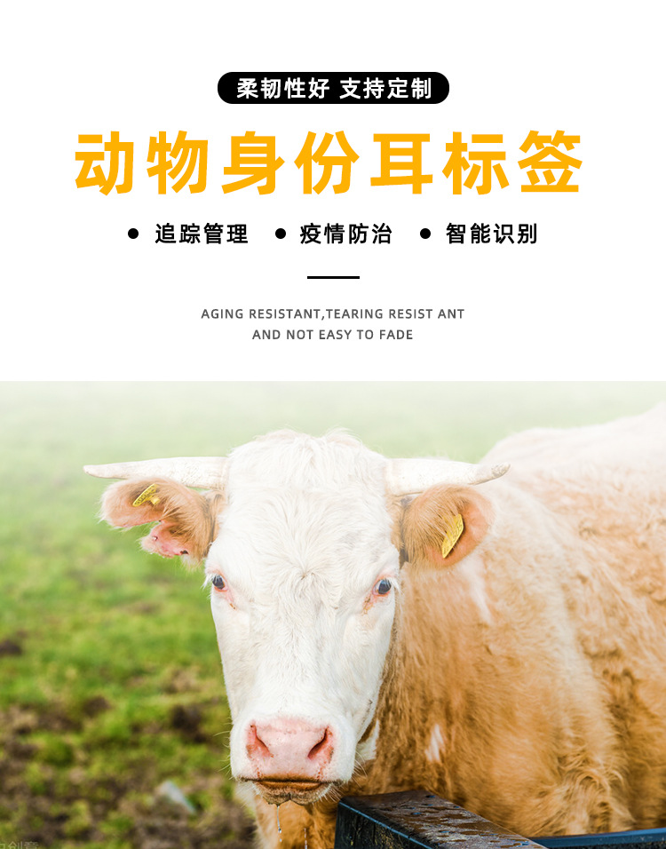 rfid动物电子耳标猪牛羊耳标智能射频芯片电子标签高频标签畜牧业