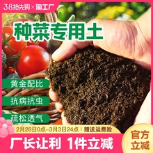 种菜土壤营养土通用型种植土花土泥土黑土有机肥料蔬菜专用土发酵