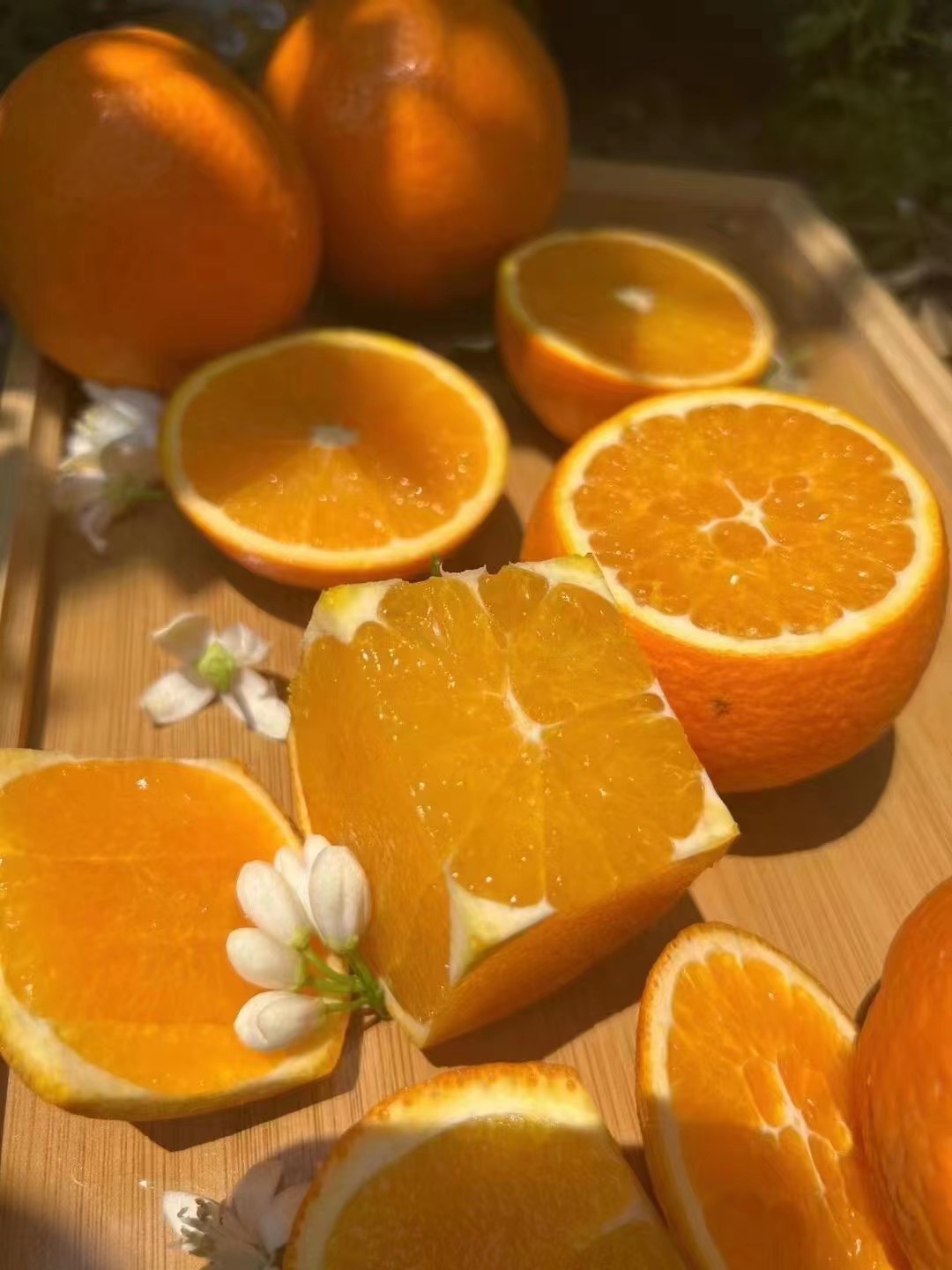 湖北秭归伦晚脐橙5斤9斤伦晚脐橙橙子一件代发