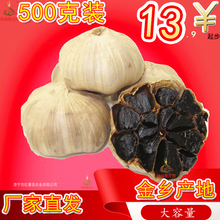 山东金乡发酵黑蒜头黑蒜多瓣山东黑大蒜500g 包邮实惠装