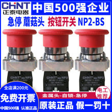 CHNT正泰紧急急停按钮开关控制盒自锁BS542停止带钥匙NP2常闭22mm