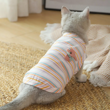 猫咪衣服夏季宠物春秋小猫薄款防掉毛银渐层英短布偶猫猫幼猫背心