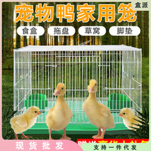 鸭子笼子 家用 室内小型宠物科尔鸭笼养鸭子的笼子家用柯尔鸭笼子