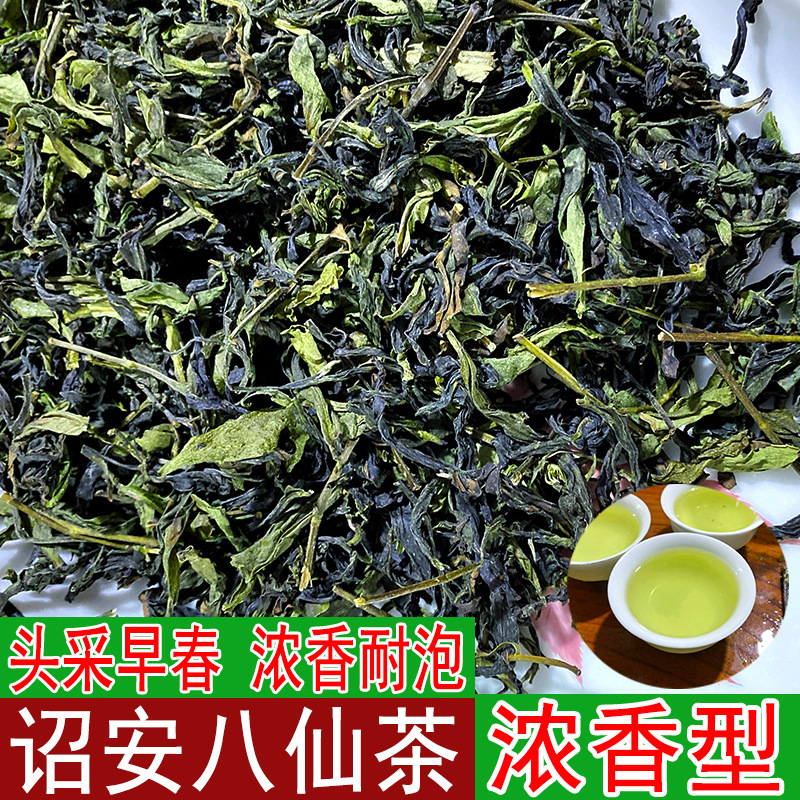 新茶诏安八仙茶500g春茶八仙茶大坪土山茶高山茶叶惠来土山茶春茶