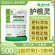 强兴护根灵农用复合枯草芽孢杆菌枯萎青枯烂根姜瘟农业种植