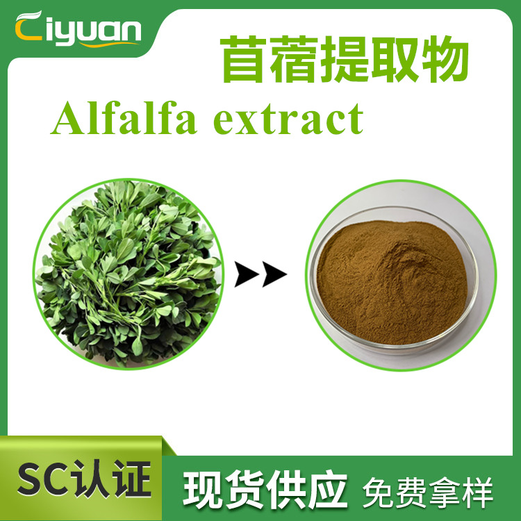 苜蓿提取物 10:1 Alfalfa extract  含苜蓿皂甙  苜蓿黄酮 SC厂家