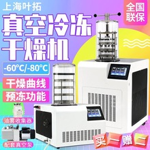 上海叶拓 冻干机 茶叶 YTLG-10A 12A真空冷冻干燥机 冻干虫草药材