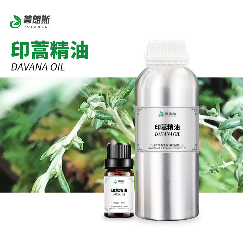 厂家直供印蒿精油现货 植物单方精油香薰按摩化妆日化原料供应