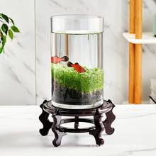 水草缸生态鱼瓶创意鱼缸玻璃瓶水培植物盆栽种籽水草种子四季造景
