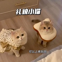 猫咪项圈伊丽莎白圈防舔吐司面包片绝育围脖圈可调节可爱宠物头套