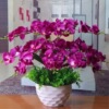 Artificial Flower Moth orchid suit Artificial flower a living room Decoration Artificial flower Decorative flowers Dried flowers Silk flower Artificial flower Decoration