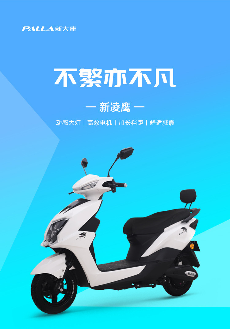新大洲新款电动车长跑王成人60v踏板电动摩托车72v外卖电瓶车电摩