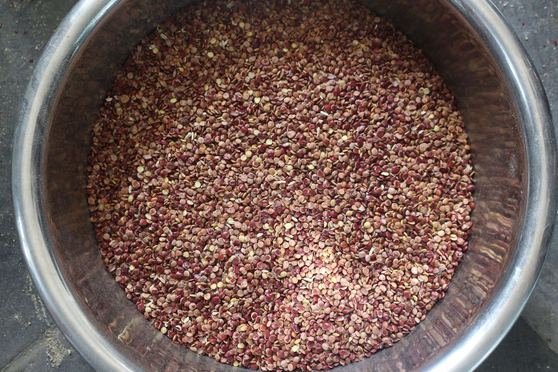 酸枣仁脱皮机,酸枣仁扒皮机,酸枣仁去壳设备