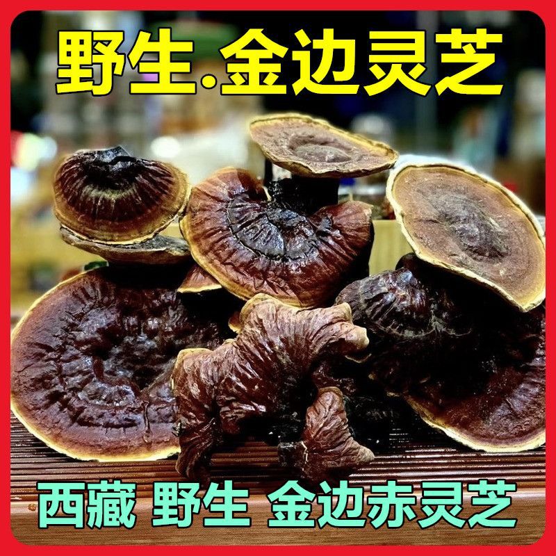 包邮西藏野生灵芝金边灵芝整朵高海拔赤灵芝另有松杉灵芝批-阿里巴巴