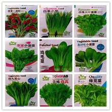 菜心新鲜蔬菜正宗宁夏菜心供港小青菜菜苔时令绿色2斤