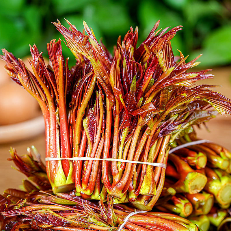 香椿芽头茬新鲜当季现摘红油时令蔬菜现摘野菜叶芽菜整箱工厂批发