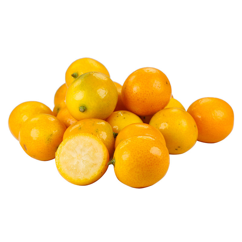 广西融安滑皮金桔-广西融安滑皮金桔厂家,品牌,图片,热帖-阿里巴巴