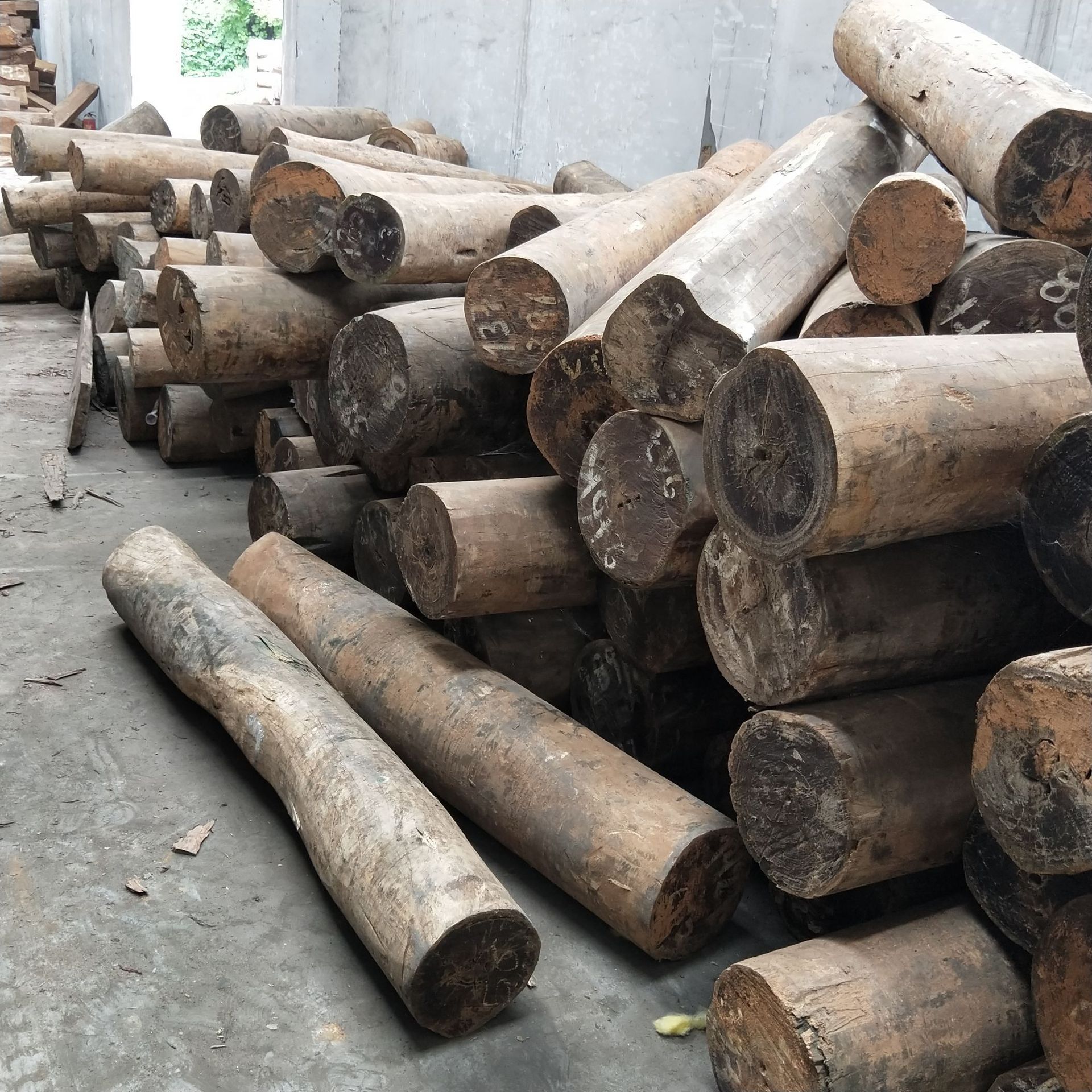 供应绿檀原木 阿根廷绿檀 玉檀香 家具工艺品梳子料维腊木板材