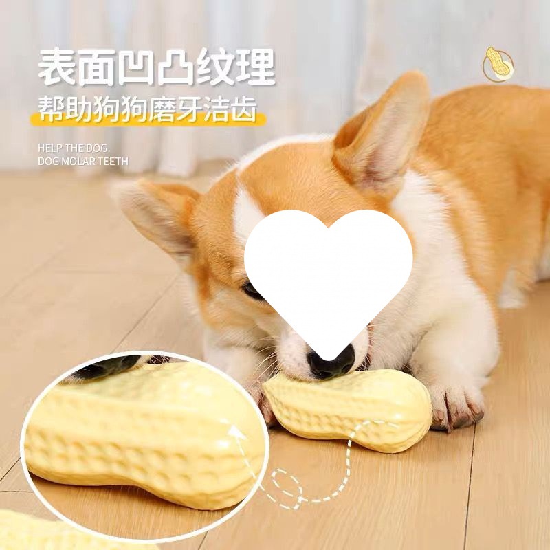 捏捏叫狗狗玩具耐咬磨牙发声花生花生柯基可爱狗解闷网红逗狗球代