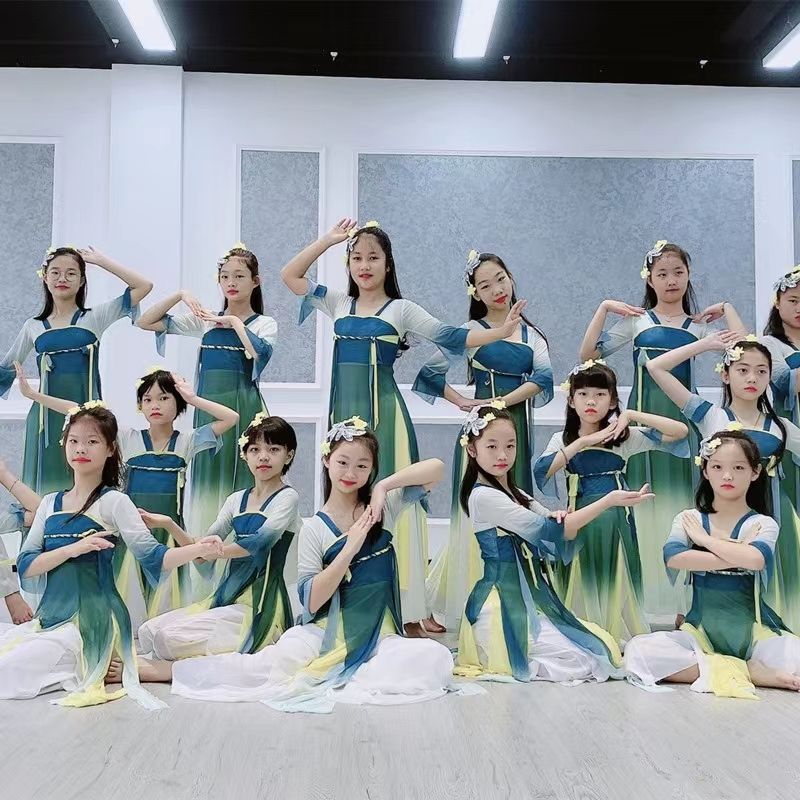 儿童古典舞演出服女童中国风飘逸古筝汉唐纱衣练功服少儿舞蹈服装