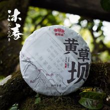 老同志普洱茶2022年春茶官方生茶饼茶沐春黄草坝古树100g直销