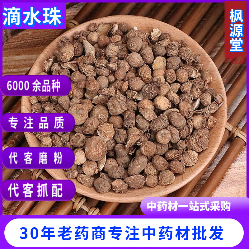 中药材批发新货 滴水珠  滴水珠 一粒珠 石半夏 独龙珠 蛇珠