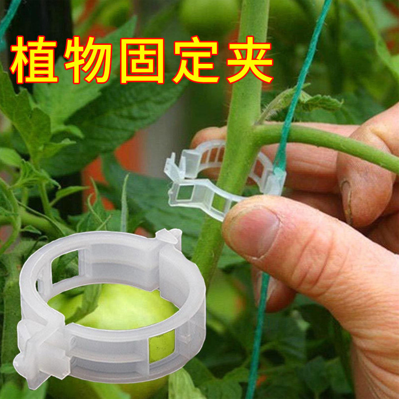 Vine Clamp Tie Tendril Clip Hanging Seedling Buckle Green Plant Clip Vine Fixed Clip Pepper Eggplant Holder Rice Seedling Plant Clips