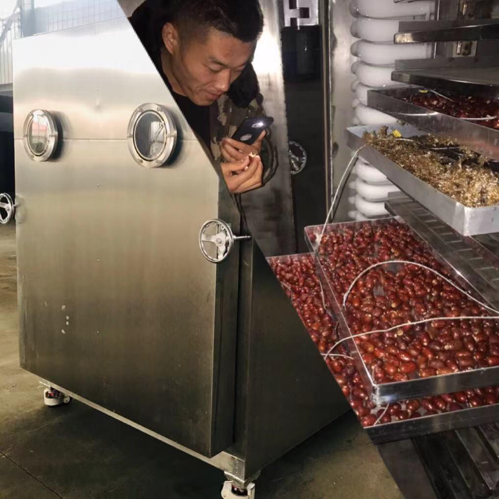 网红猫粮宠物食品冻干机 龟粮蚯蚓冻干设备 鸡肉鸭肉粒冷冻干燥机