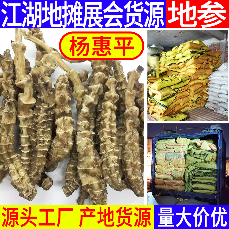 虫草参地参虫草参云南产地供应地蚕地参广东煲汤材料食材泡酒料