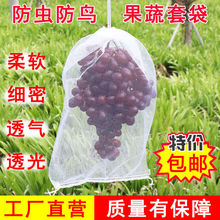 葡萄套袋水果防虫防鸟网袋水果枇杷透气保护袋果树防鸟网袋浸种袋