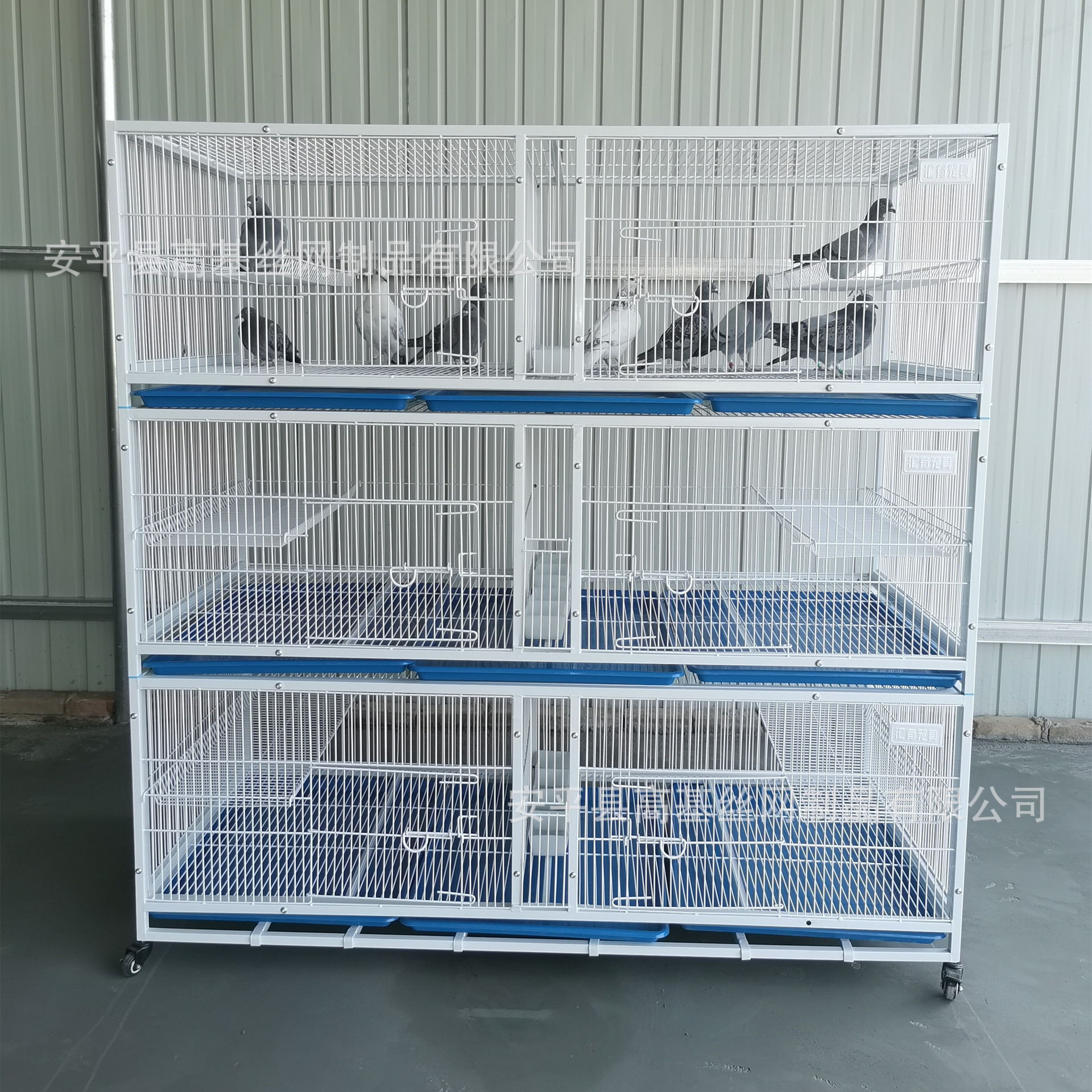 鸽子繁殖繁育笼三层宠物店鸽舍鸽子笼赛鸽配对笼用品大号加粗加密