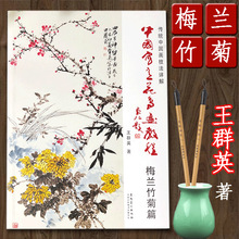 梅兰竹菊 传统中国画技法详解 王群英 国画写意画法教程教材花鸟